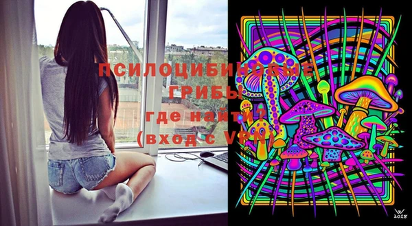 mdpv Бугульма
