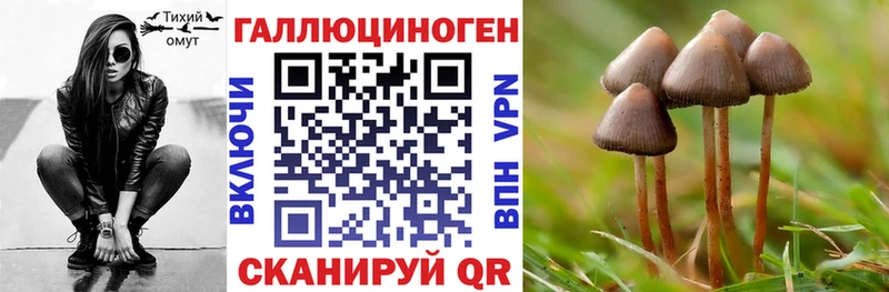Купить закладки  Волхов  Псилоцибиновые грибы Psilocybine cubensis 